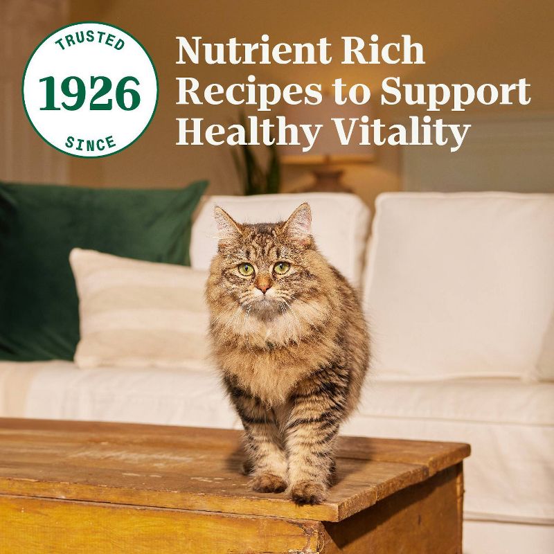 Nutro Wholesome Essentials Salmon &#38; Brown Rice Recipe Adult Premium Dry Cat Food - 5lbs, 5 of 14