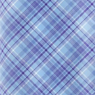 sky blue bias plaid