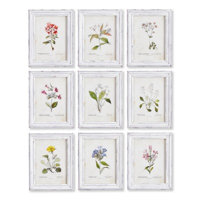Plum & Post Garden Meadow Study, Set Of 9