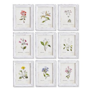 Plum & Post Garden Meadow Study, Set Of 9 - 1 of 4