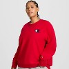 Champion Adult Sizing Iconic Crewneck Sweatshirt - 3 of 4