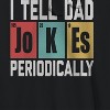 Rerun Island Men's I Tell Dad Jokes Periodically Long Sleeve Graphic Cotton Sweatshirt Hoodie - 2 of 3
