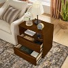 GDFStudio Harley Mid-Century Modern 22.75" Wood Nightstand with 2 Drawers and USB Ports - 2 of 4