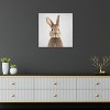 iCanvas Rabbit by Gal Design Canvas Print Wall Art - 3 of 3
