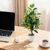 20-inch Artificial Orange Trees, 2 Artificial Potted Plants, Artificial Orange and Citrus Trees with White POTS, Interior Decoration. - 3 of 4