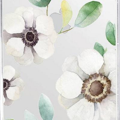 Anemone Flowers White