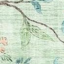 peacock|green