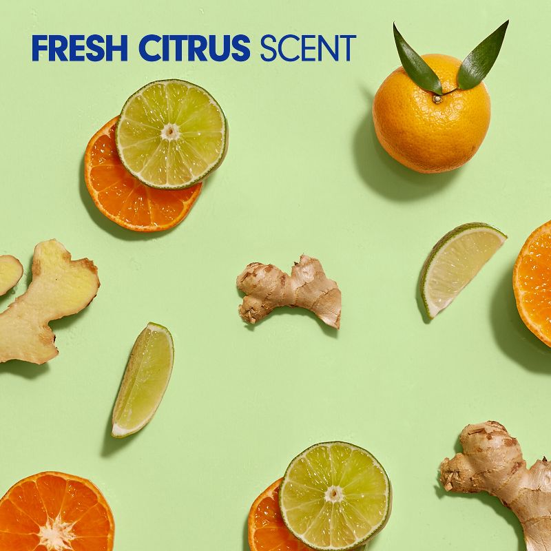 Softsoap Antibacterial Liquid Hand Soap Refill - Fresh Citrus - 50 fl oz, 6 of 11