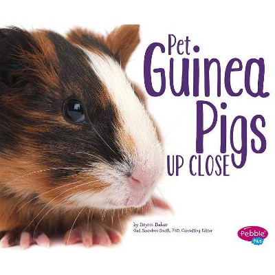 Pet Guinea Pigs Up Close - (Pets Up Close) by  Brynn Baker (Paperback)