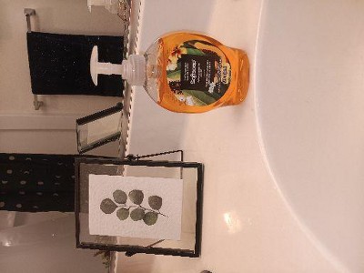 Guest review image 1 of 1, zoom in