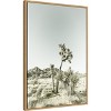 Amanti Art Joshua Tree National Park Vintage Impression by Melanie Viola Framed Canvas Wall Art - 3 of 4