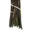 Vickerman 36"-40" Bell Grass with Seed Pods, Preserved - 4 of 4