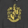 Harry Potter Hufflepuff Crest Pullover Hoodie - 2 of 4