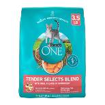 Purina ONE Tender Selects Blend with Real Salmon Adult Premium Dry Cat Food