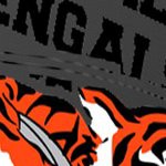 cincinnati bengals