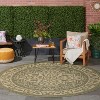 Nourison Tulum Persian Indoor/Outdoor Rug - 2 of 4