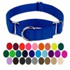 Country Brook Petz Martingale Heavyduty Training Collar with No Buckle - Service Collar for All Dogs - Vibrant, Colorful Collection - 2 of 4