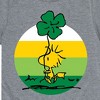 Boys' - Peanuts - Woodstock Shamrock Short Sleeve Graphic T-Shirt - 2 of 4