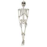 Sunstar Skeleton Hanging Halloween Decoration - 3 ft - Gray