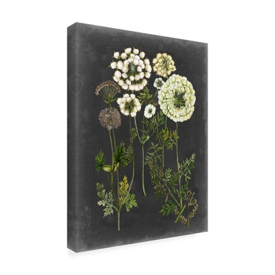 Trademark Fine Art -Naomi Mccavitt 'Bookplate Floral Ii' Canvas Art