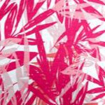pink burst tropical leaves