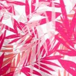 pink burst tropical leaves