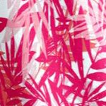 pink burst tropical leaves