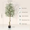5FT-B Artificial Olive Tree for Home Decor Artificial Indoor, Tall Fake Olive Tree with Moss,with Realistic Trunks, Adjustable Branch and Fruits - 4 of 4