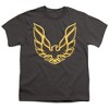 Boys' Short Sleeve Pontiac Iconic Firebird T-Shirt - 2 of 4