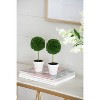 DOMETOUR Set of 3 Mini Faux Topiaries in Cream Pot for Tabletop & Shelf Decor 3.5x9.5" Summer Home Decor - 4 of 4
