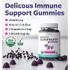 Organic Elderberry Gummies for Adults, Immune Support Supplement with Black Elderberry Vitamin C & Zinc for Daily Immunity, Pure Co, 60ct - 2 of 4