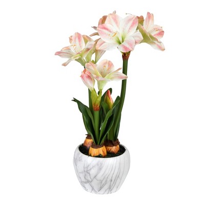 Sale Decorative Objects Target