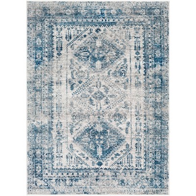 Blue and White Rectangular Synthetic Flat Woven Area Rug