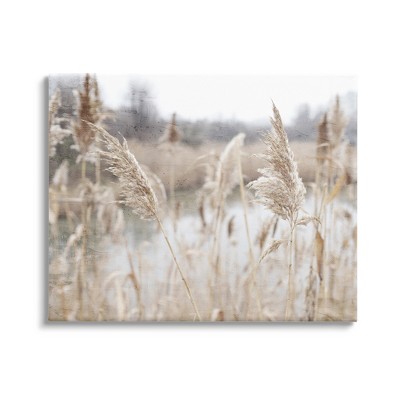 Stupell Industries Rural Pampas Grass Reeds Lakeside Pond Marsh Canvas Wall Art