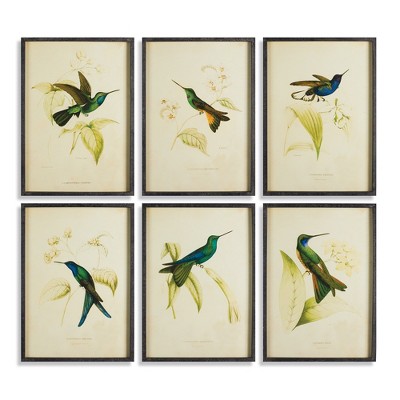 Plum & Post Hummingbird Prints, Set Of 6