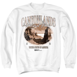 Men's Canyonlands National Park Monument Valley Vista Crewneck Sweatshirt - 1 of 4