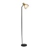 Simple Designs 55.91" Industrial Farmhouse Fusion Adjustable Cage Wire Accent Floor Lamp - 2 of 4