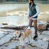 Unique Bargains Nylon Double Handle Dog Leash 1 Pc - 3 of 4