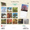 BrownTrout 2025 Wall Calendar 12"x12" The Majesty of Trees - image 2 of 4