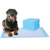 Itopfox 20 Pcs Pee Pads, Blue, 6-Layer, Ultra Absorbent, Leak-Proof, Quick-Dry, Suitable for Dogs, Cats, Rabbits, Chinchillas, and Other Pets - 4 of 4
