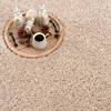 Hauteloom Faina Solid Beige Shag Washable Area Rug - 3 of 4