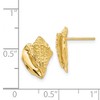 Black Bow Jewelry Textured Conch Shell Post Earrings in 14k Yellow Gold - 4 of 4