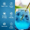Syruvia Sugar Free Coffee Flavors Variety Pack: Blueberry & Mango 25.4 fl oz Syrup - 4 of 4