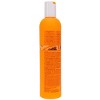 milk_shake Moisture Plus Shampoo 10.1 oz - 4 of 4