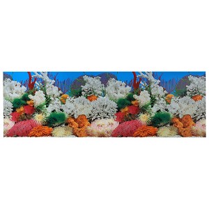 Unique Bargains Aquarium Background Poster Double-sided Fish Tank Background Decorative Pictures PVC 1 Pc - 1 of 4
