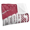 Saint Joseph'S University Fan Zone Silky Touch Super Soft Throw Blanket 50x60 - 3 of 4