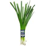 Organic Green Onion Bunch - 5.5oz