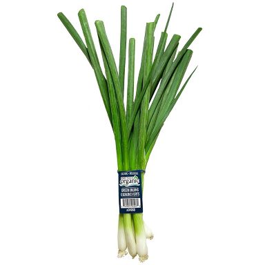 Fresh Organic Green Onion Bunch - 5.5oz