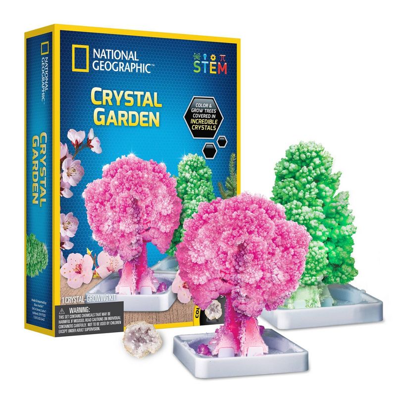 National Geographic Crystal Garden Science Kit, 3 of 12