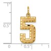 Black Bow Jewelry 14k Yellow Gold, Varsity Collection, Large D/C Pendant Number 5 - 4 of 4